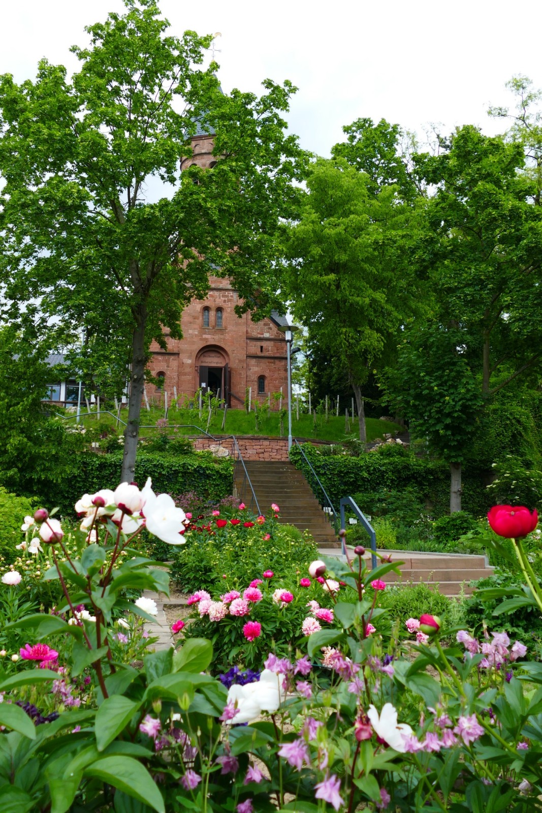 Pfingsrosengarten Lorsch